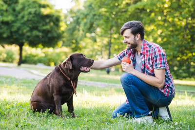 Benefits of Owning a Dog