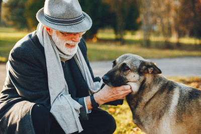 A Guide to Adopting a Senior Dog