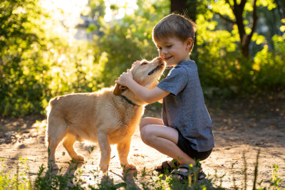 Paws and Playtime  Dogs and Kids