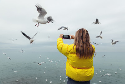 Bird Watching 101: Tips for Enjoying Birding with Your Pet Bird